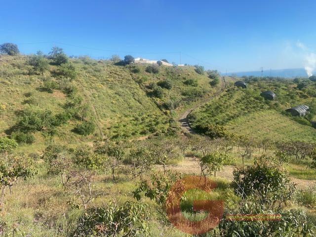 Venta de finca rústica en Vélez-Málaga Municipio