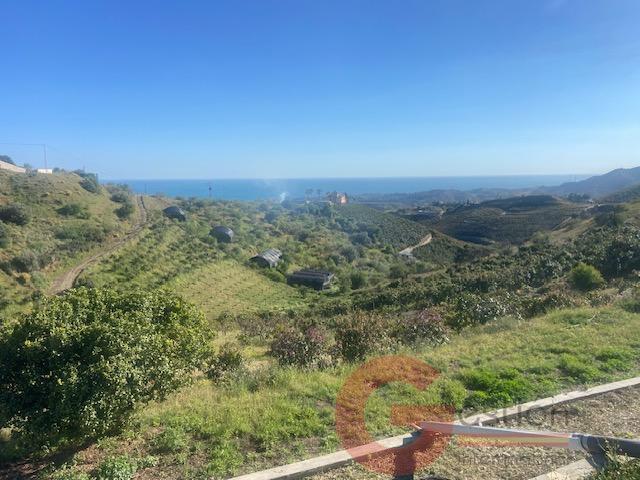 Venta de finca rústica en Vélez-Málaga Municipio