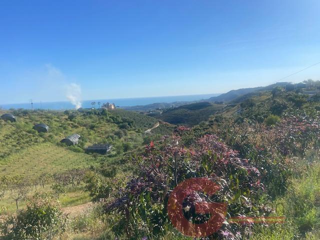 Venta de finca rústica en Vélez-Málaga Municipio