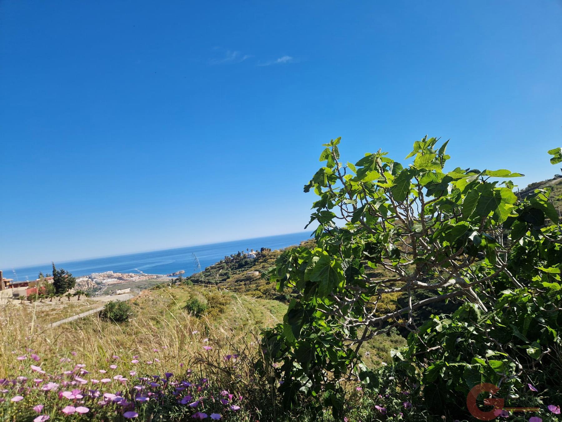 Venta de terreno en Salobreña