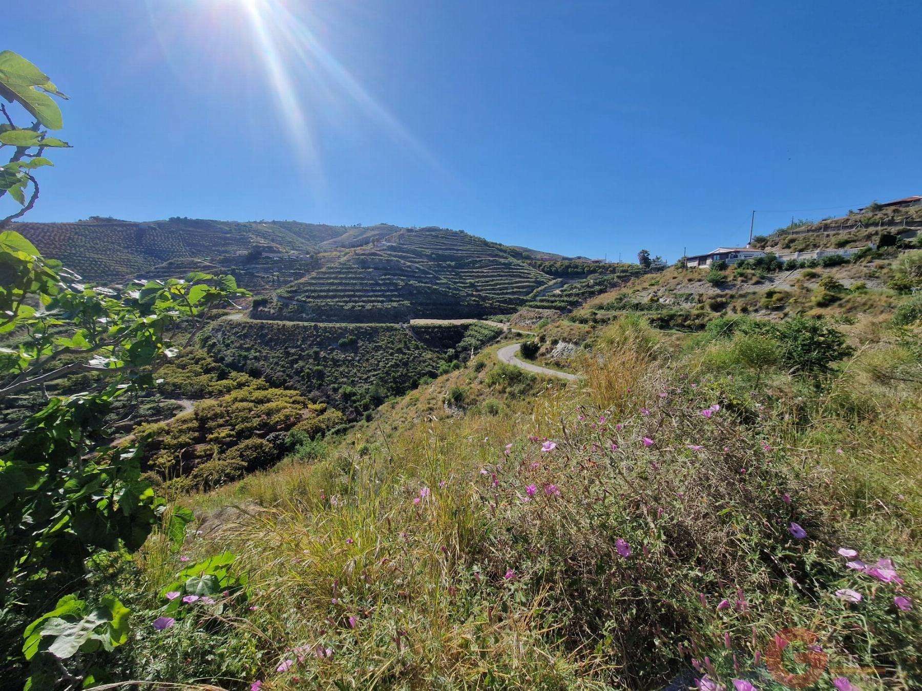 Venta de terreno en Salobreña