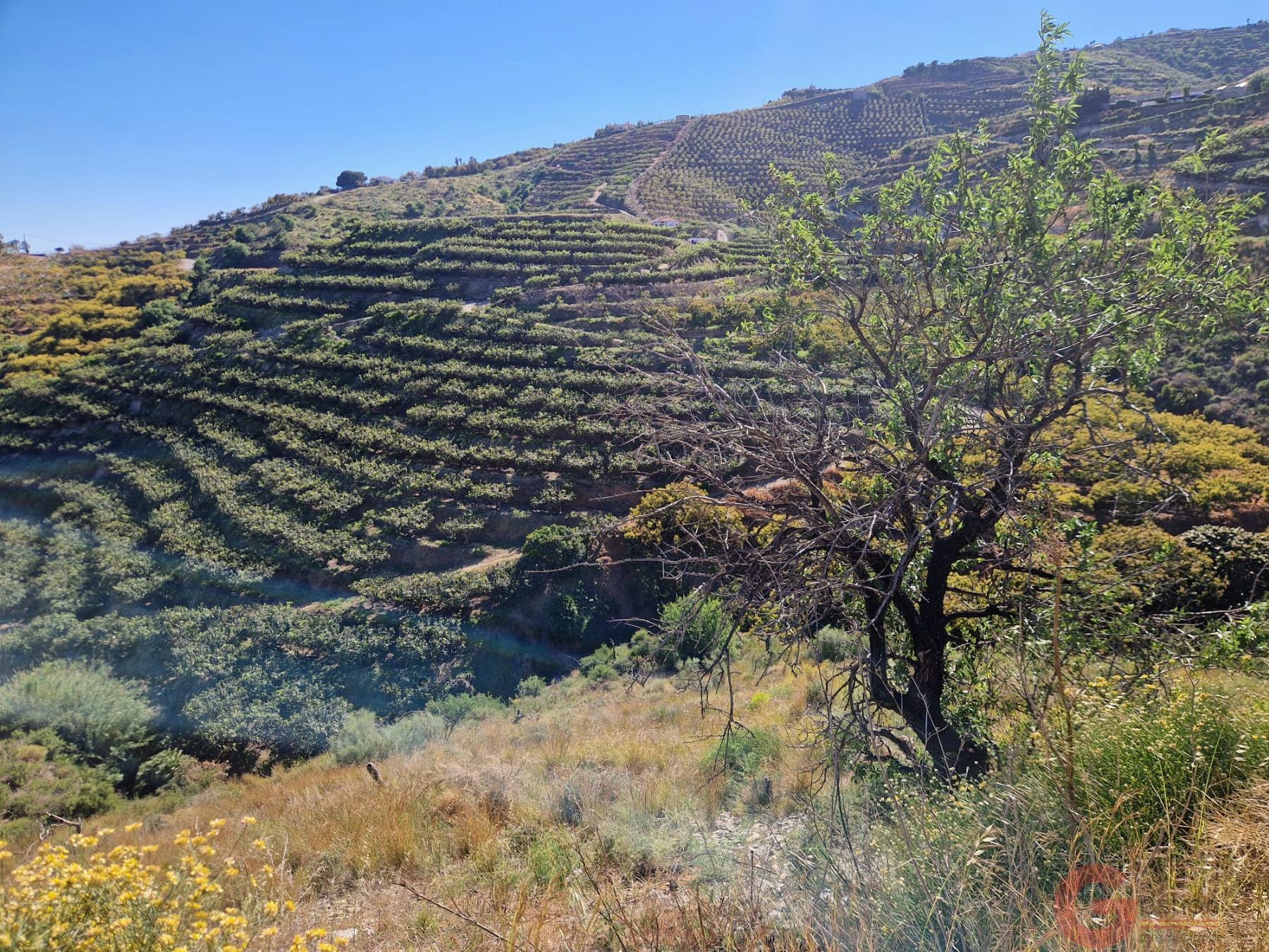 Venta de terreno en Salobreña