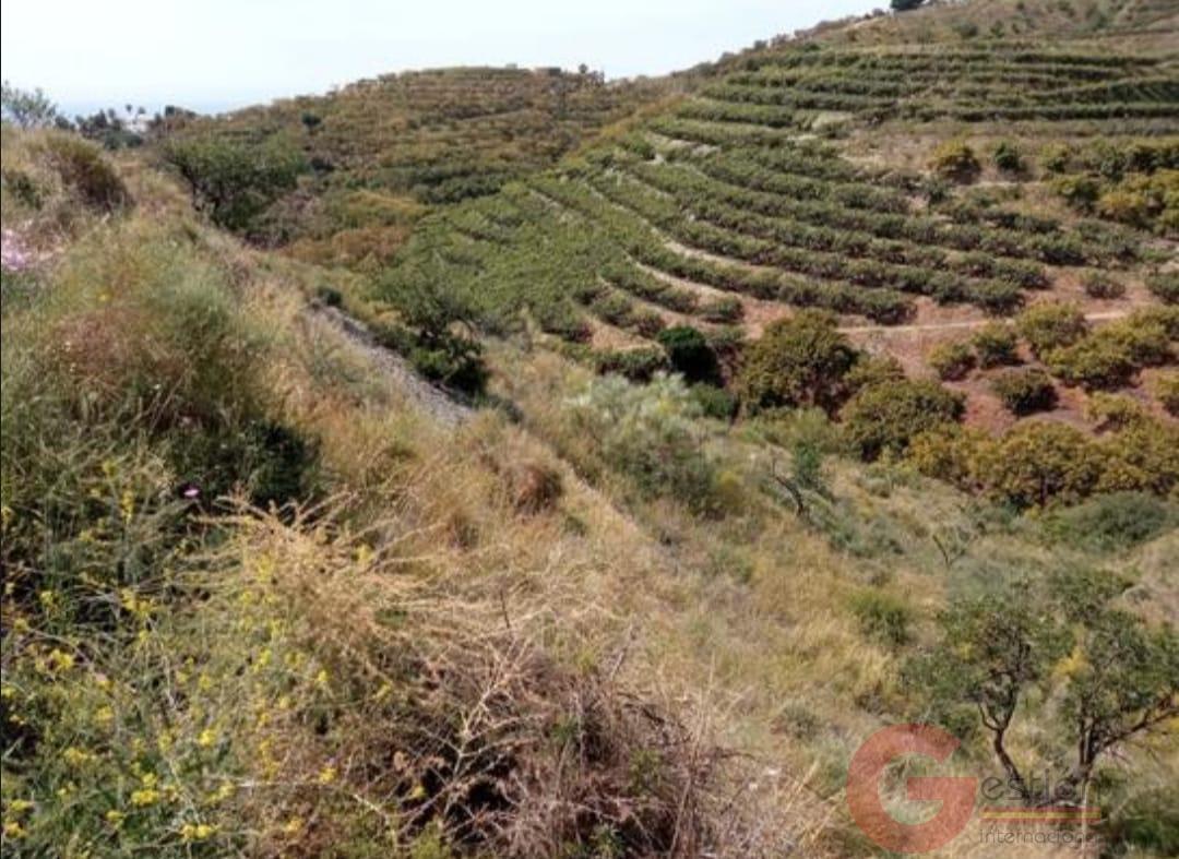 Venta de terreno en Salobreña