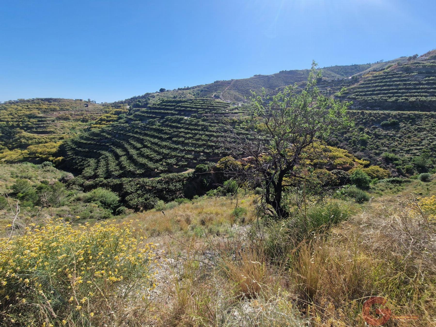 Venta de terreno en Salobreña