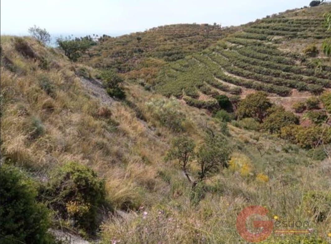 Venta de terreno en Salobreña