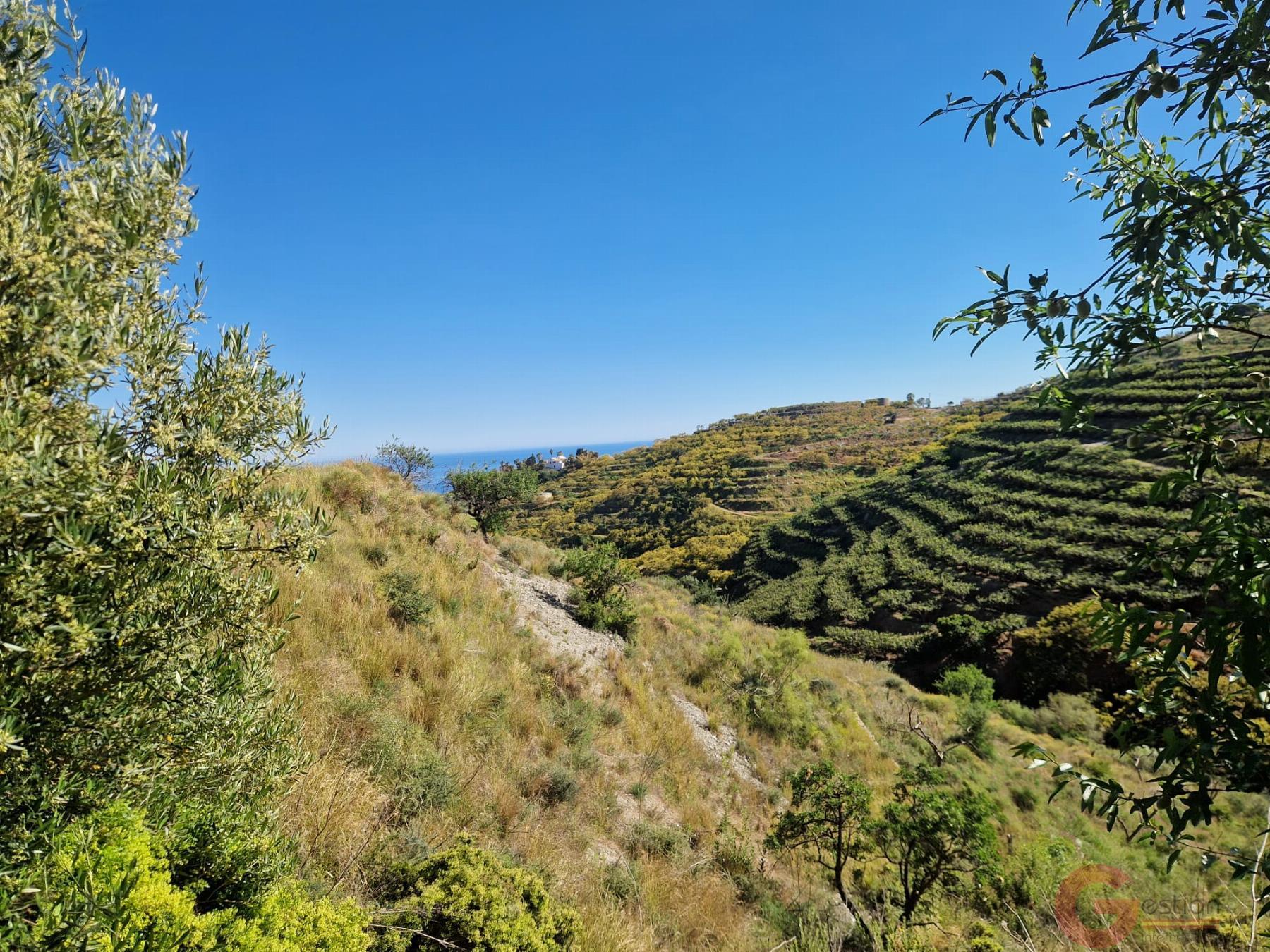 Venta de terreno en Salobreña