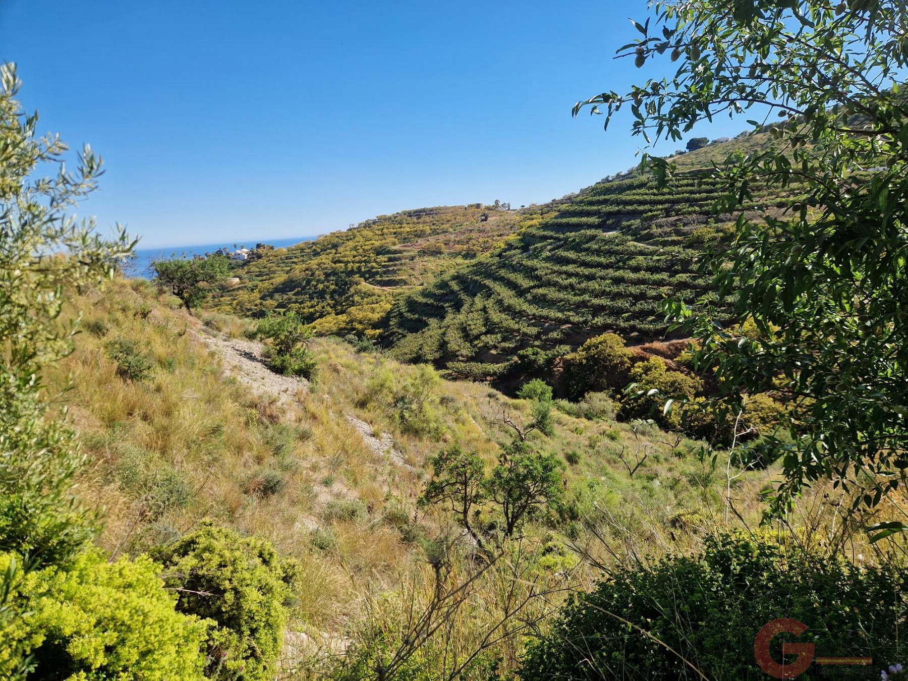 Venta de terreno en Salobreña