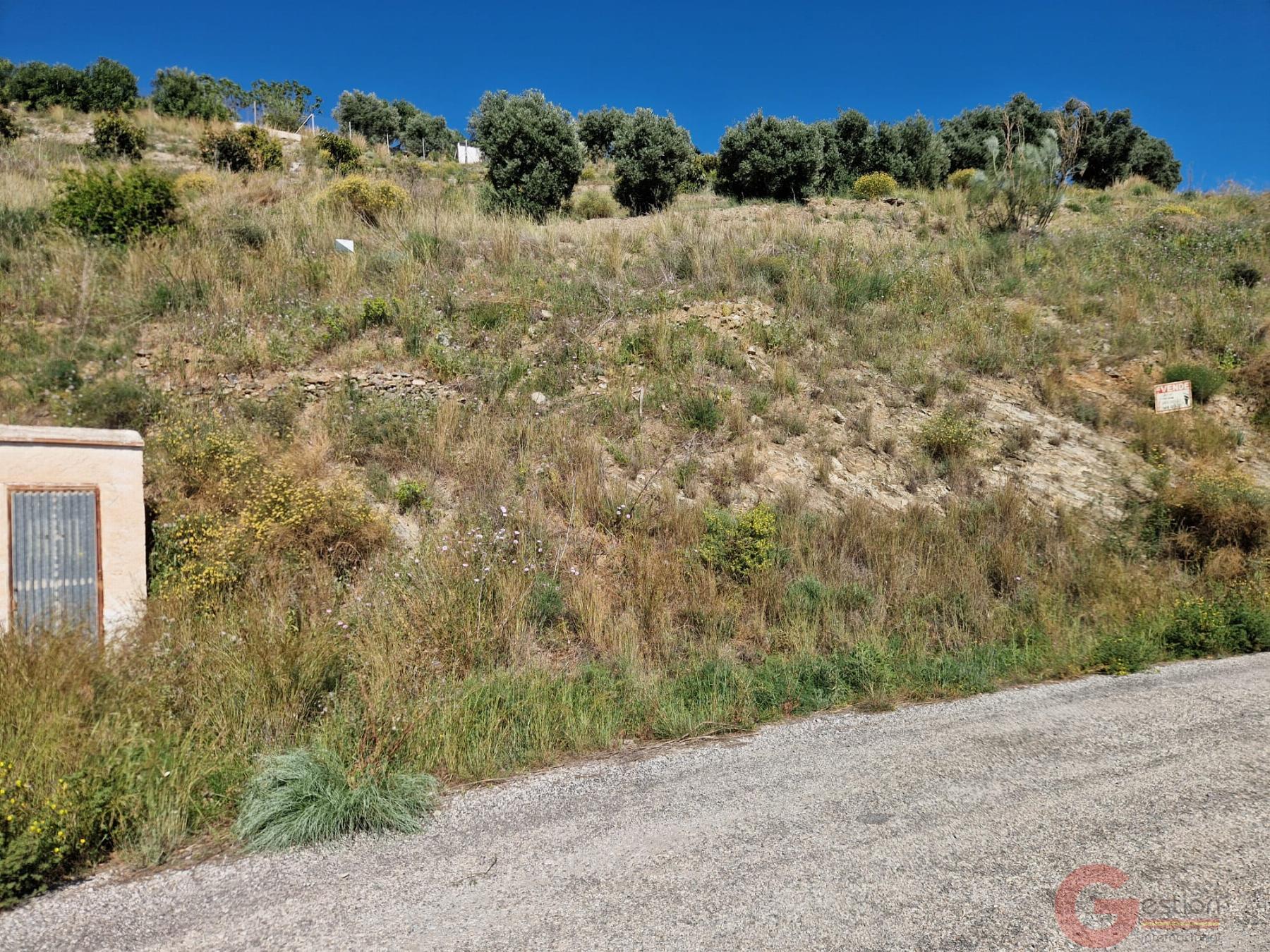 Venta de terreno en Salobreña