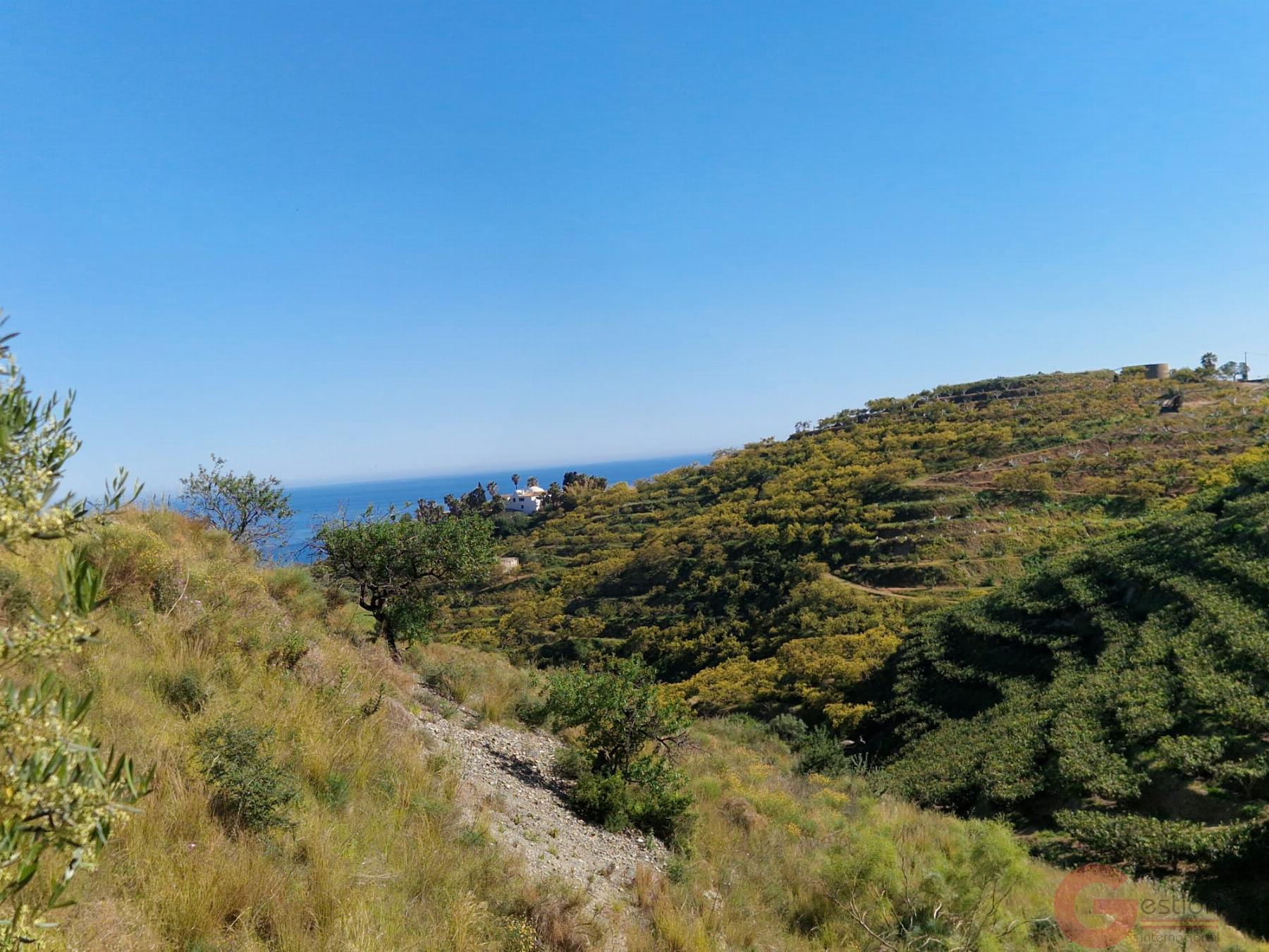 Venta de terreno en Salobreña