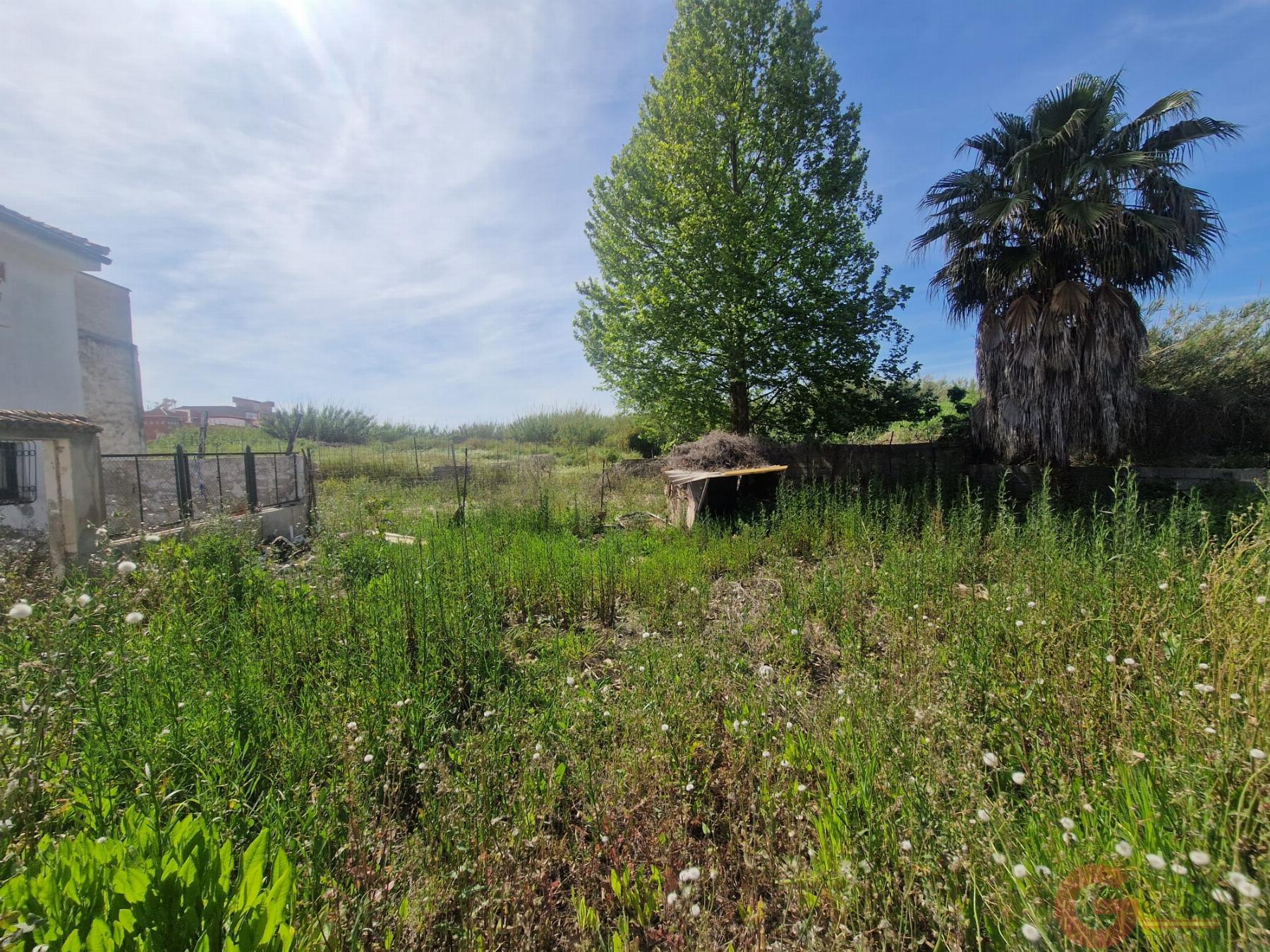 Venta de casa en Motril