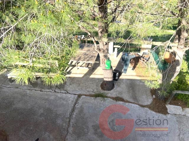 Venta de finca rústica en La Herradura