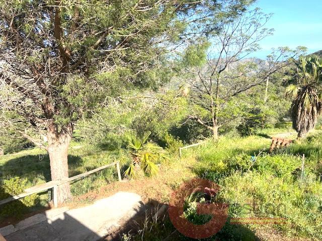 Venta de finca rústica en La Herradura