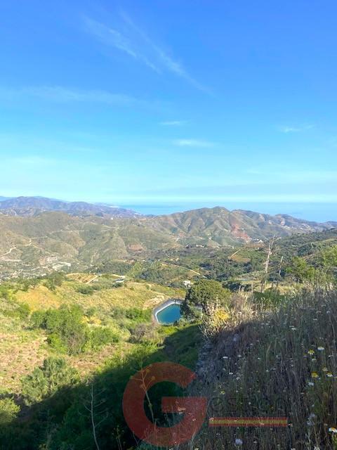 Venta de finca rústica en La Herradura