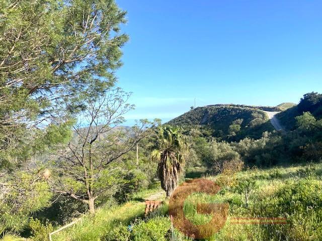 Venta de finca rústica en La Herradura