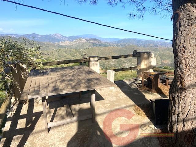 Venta de finca rústica en La Herradura