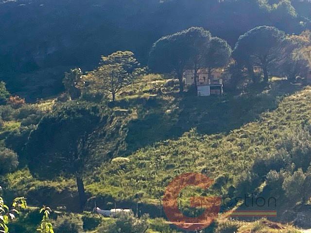 Venta de finca rústica en La Herradura