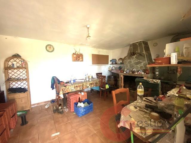 Venta de finca rústica en La Herradura