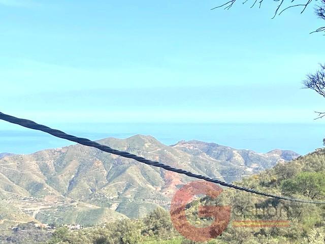 Venta de finca rústica en La Herradura