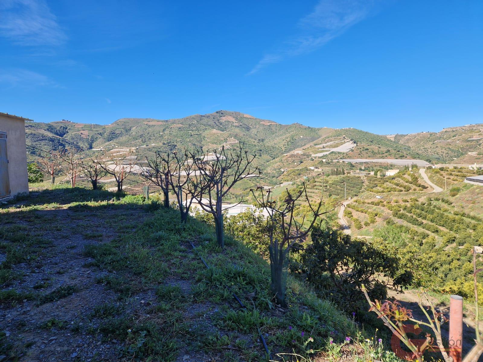 Venta de terreno en Itrabo