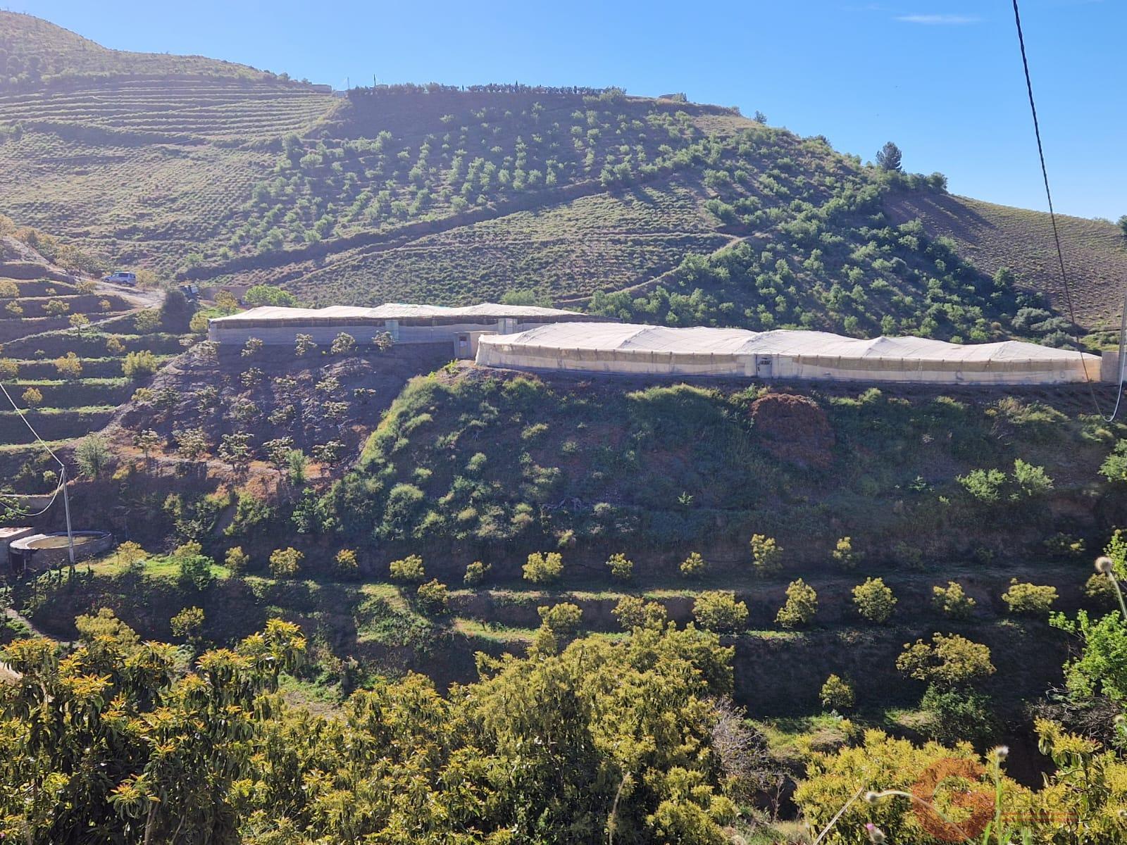 Venta de terreno en Itrabo