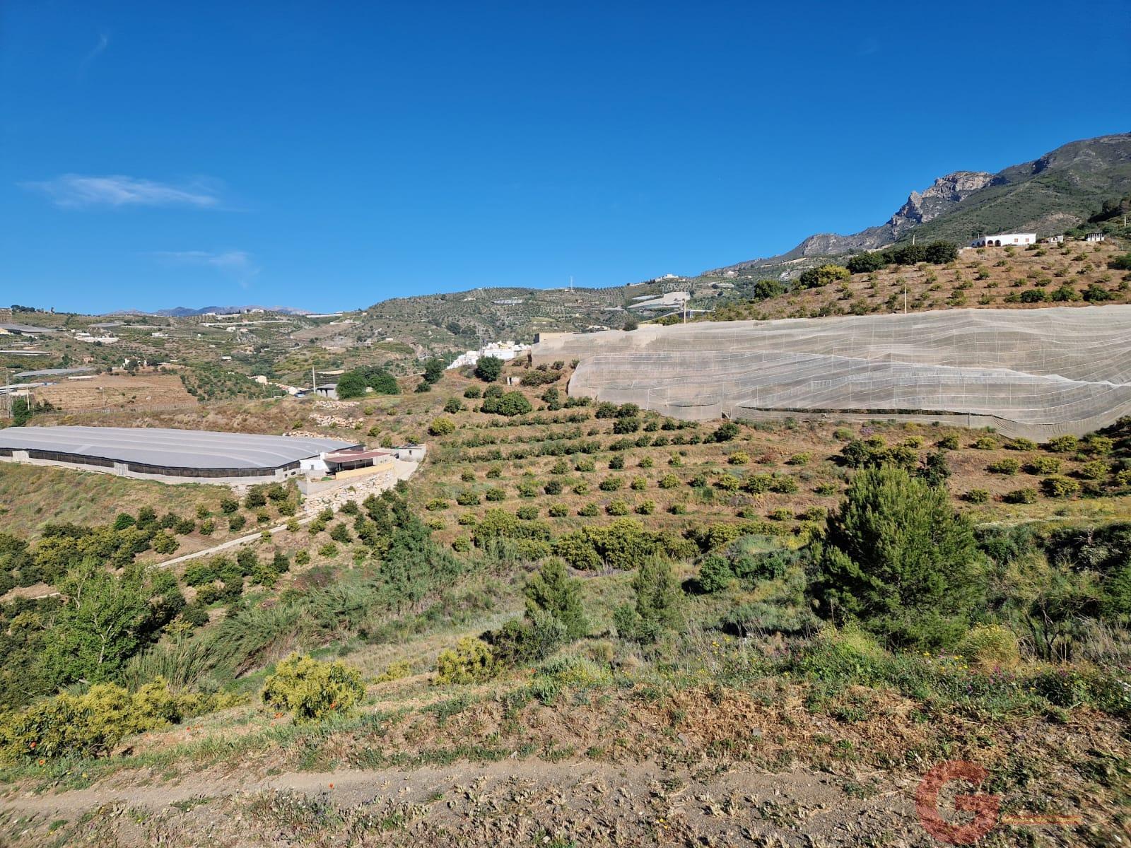 Venta de terreno en Itrabo