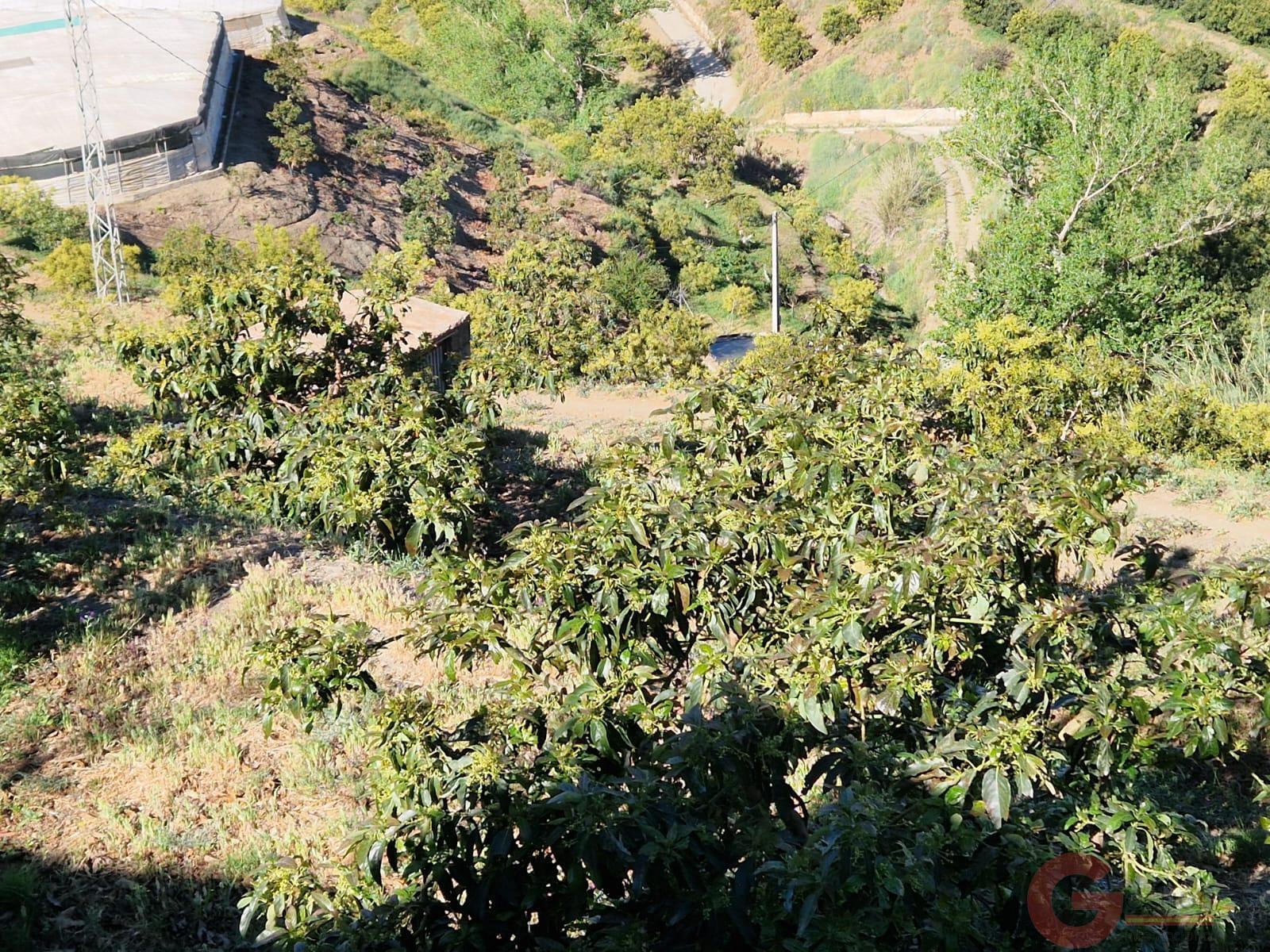 Venta de terreno en Itrabo