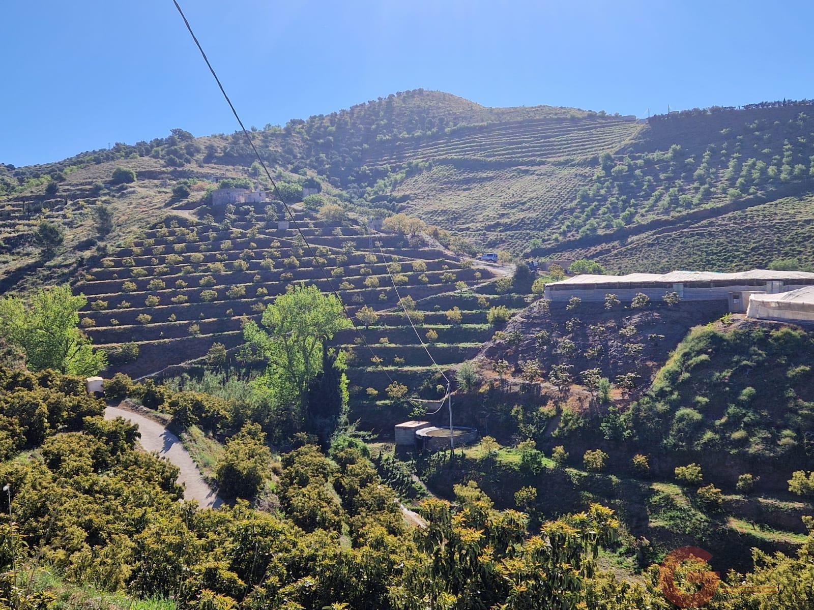 Venta de terreno en Itrabo