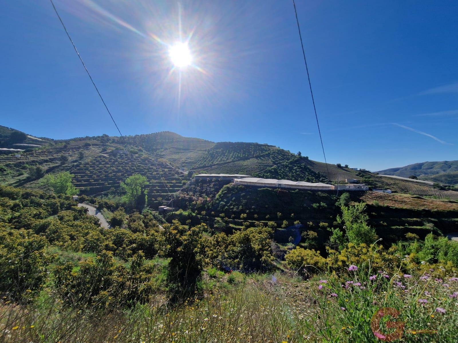 Venta de terreno en Itrabo