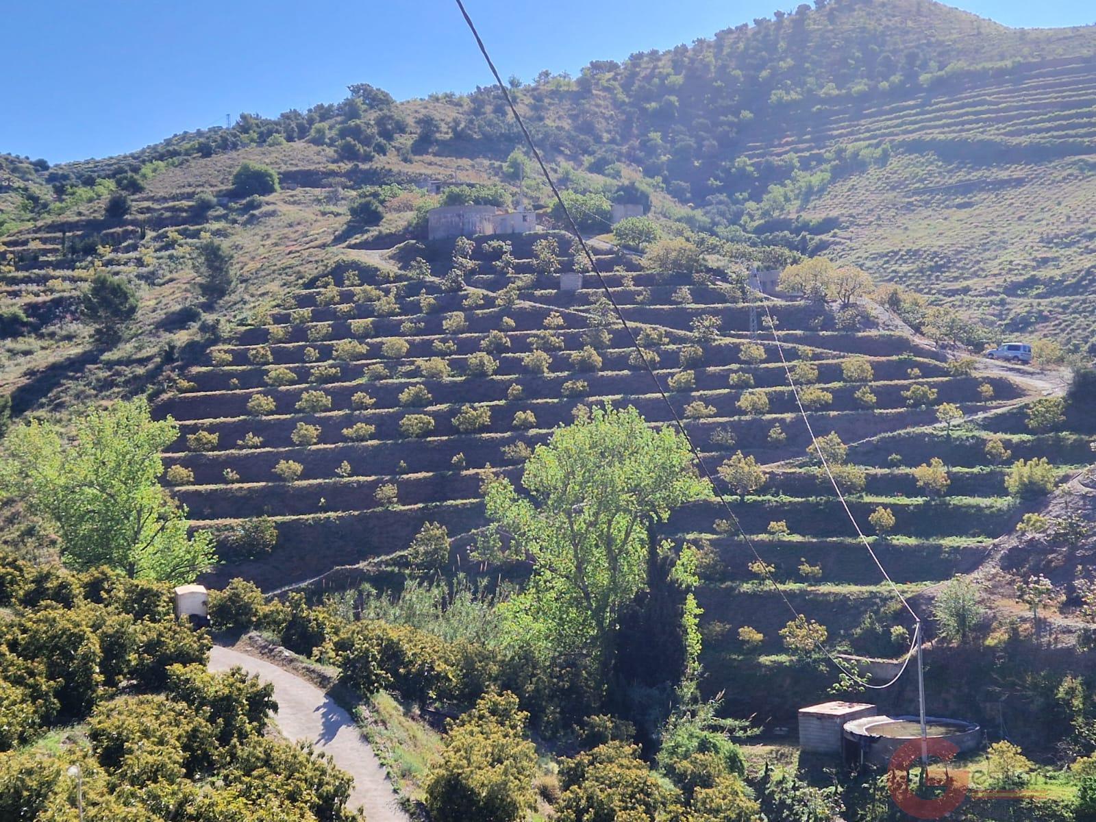 Venta de terreno en Itrabo