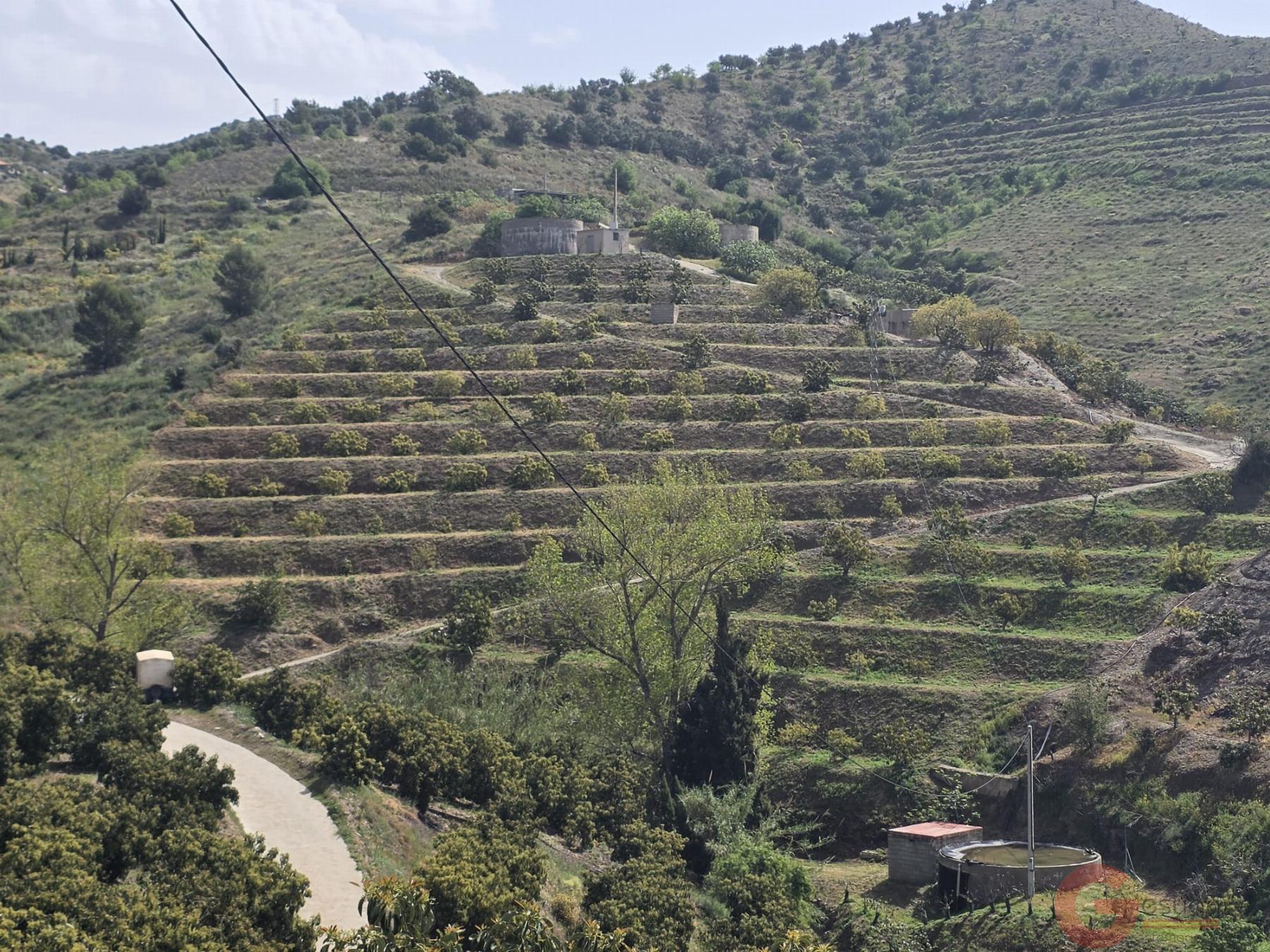Venta de terreno en Itrabo