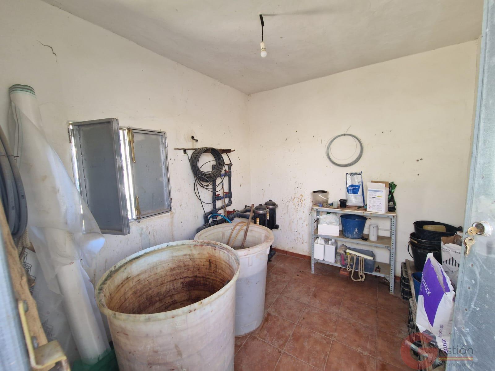 Venta de finca rústica en Molvízar