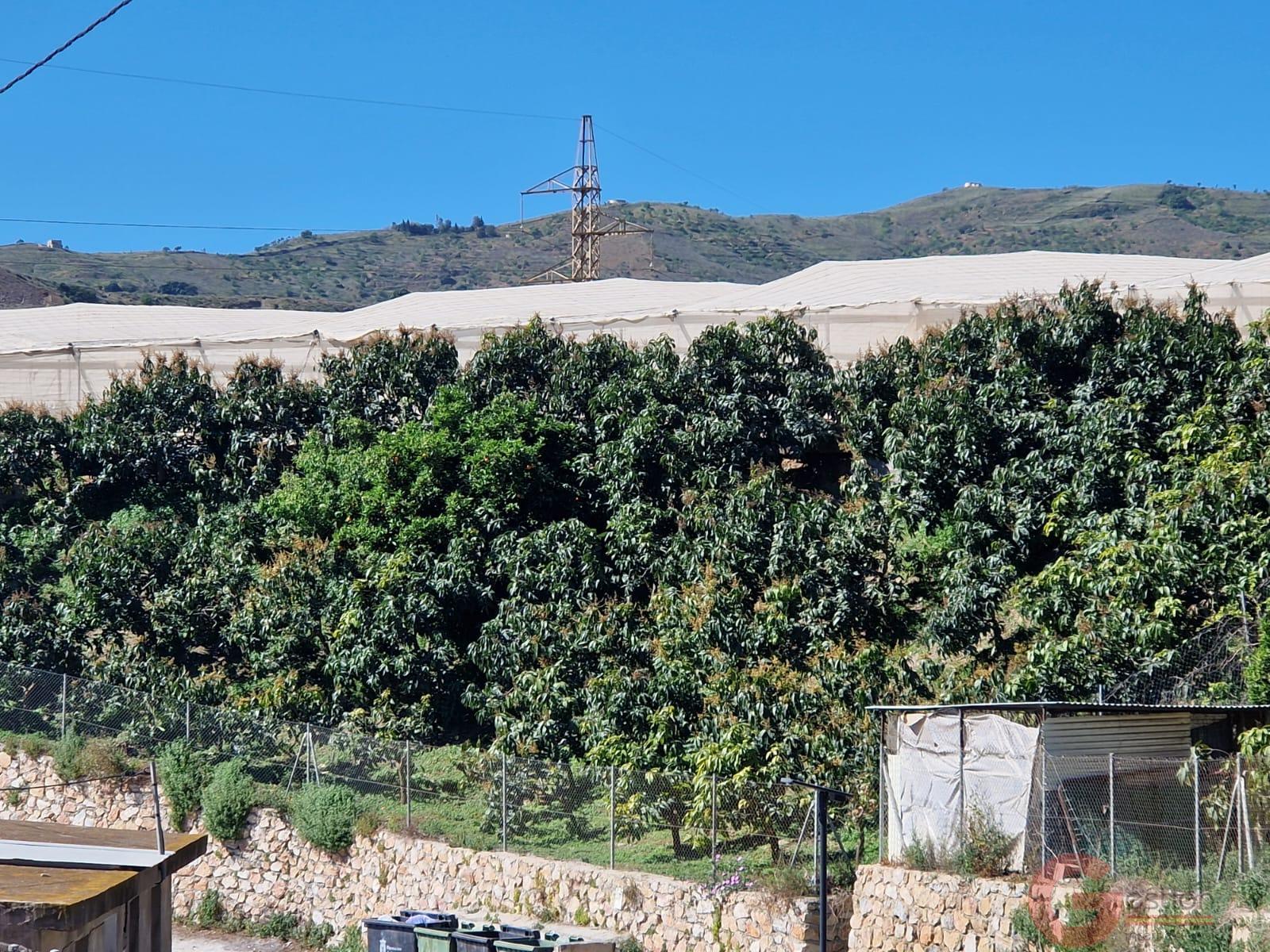 Venta de finca rústica en Molvízar