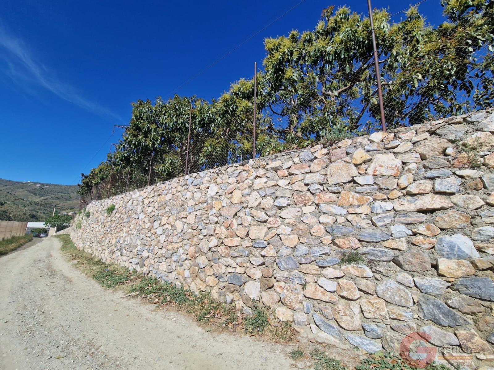 Venta de finca rústica en Molvízar