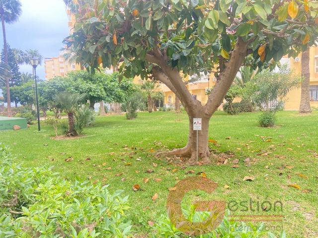 Venta de estudio en Torrox