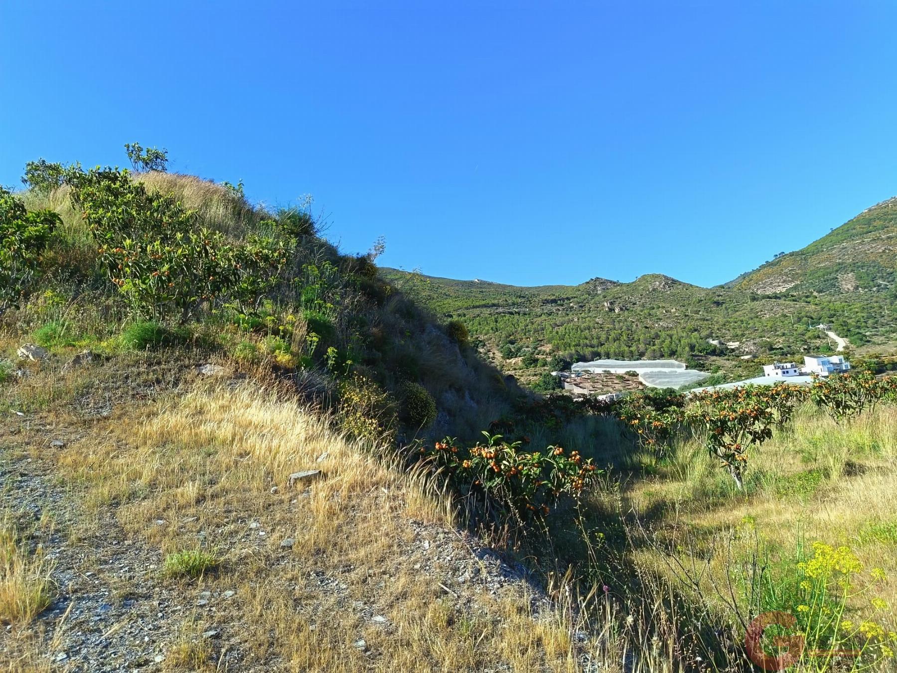 Venta de finca rústica en Itrabo