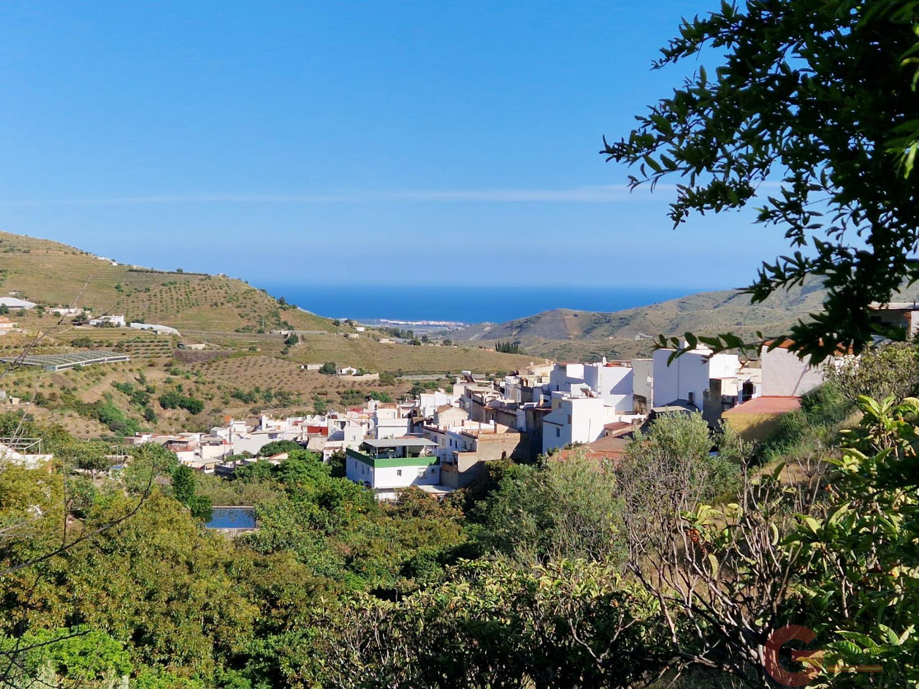 Venta de finca rústica en Itrabo