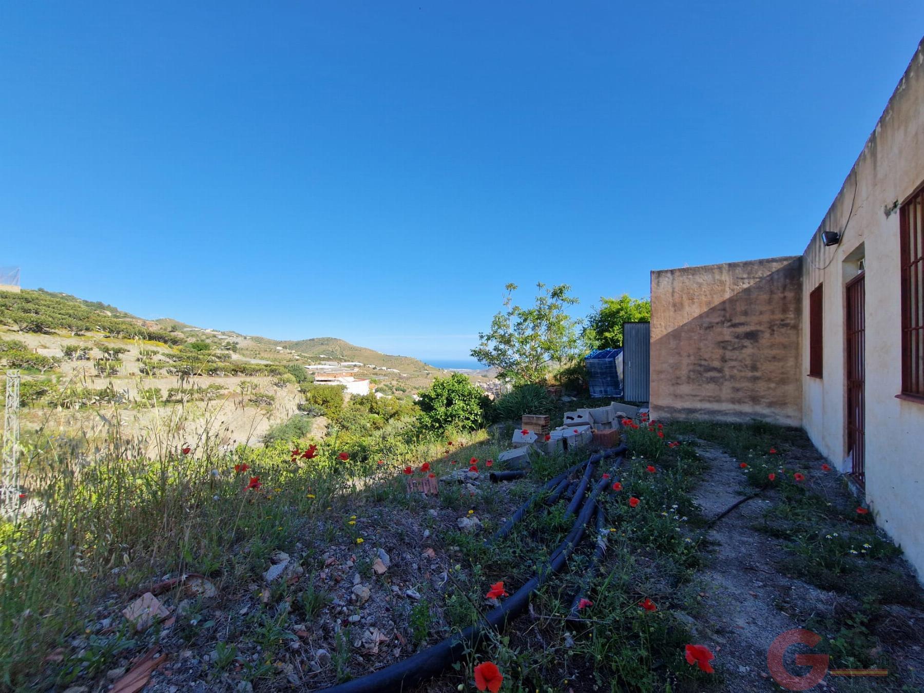 Venta de finca rústica en Itrabo