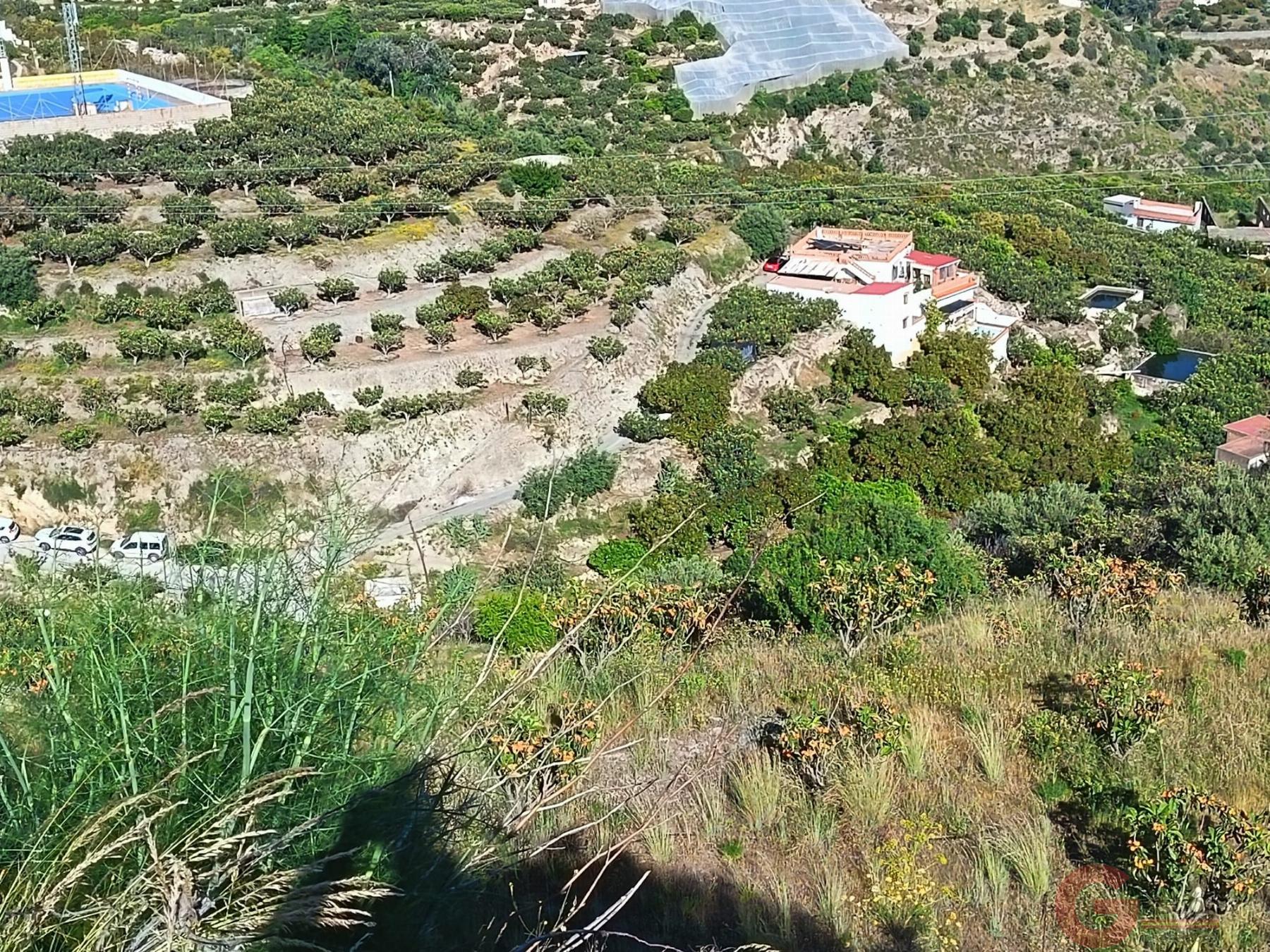 Venta de finca rústica en Itrabo