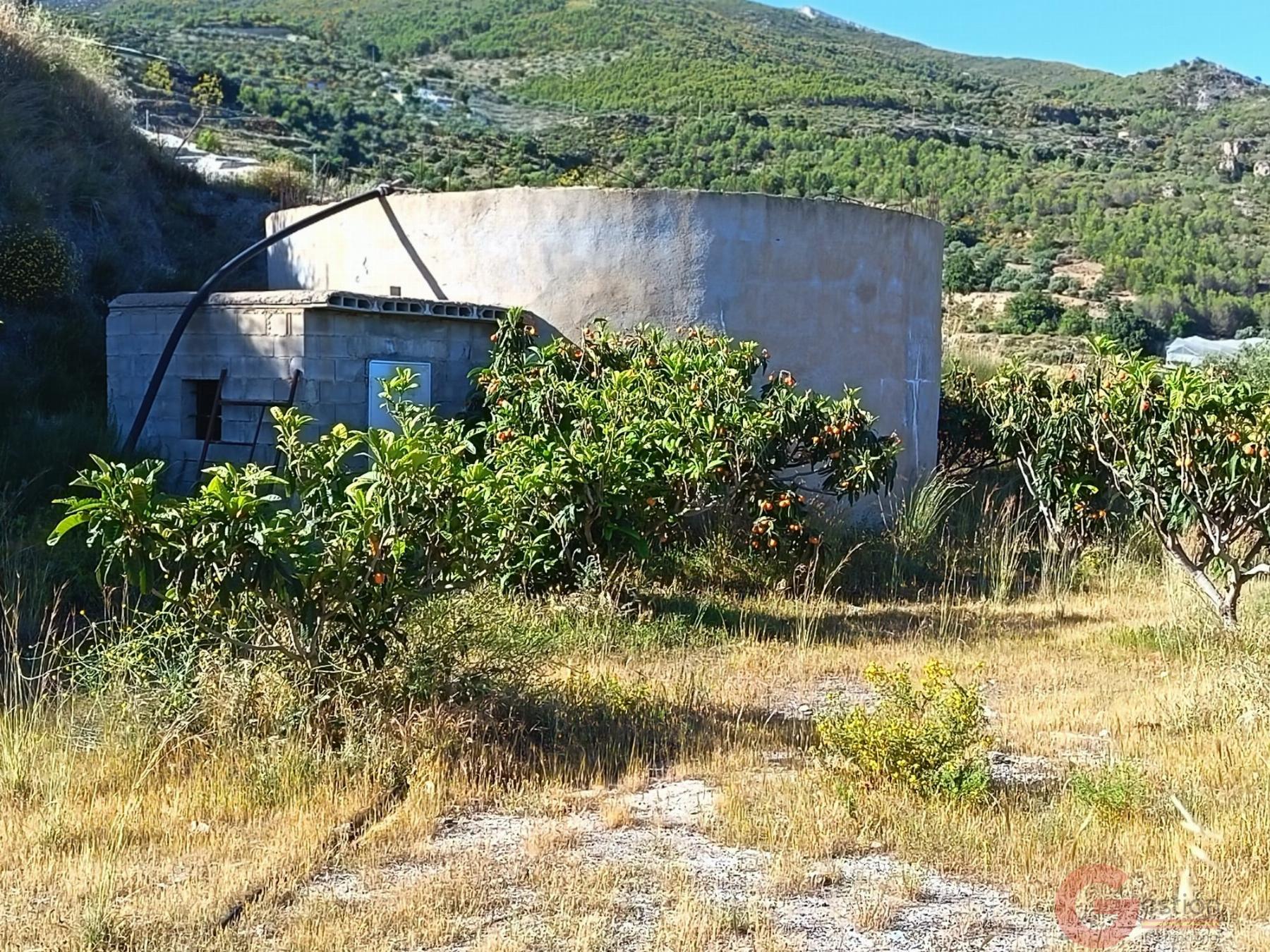 Venta de finca rústica en Itrabo