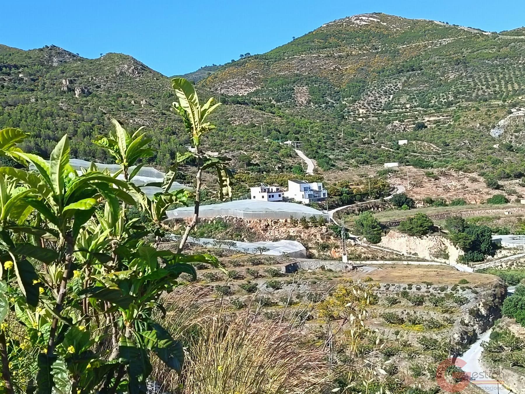Venta de finca rústica en Itrabo