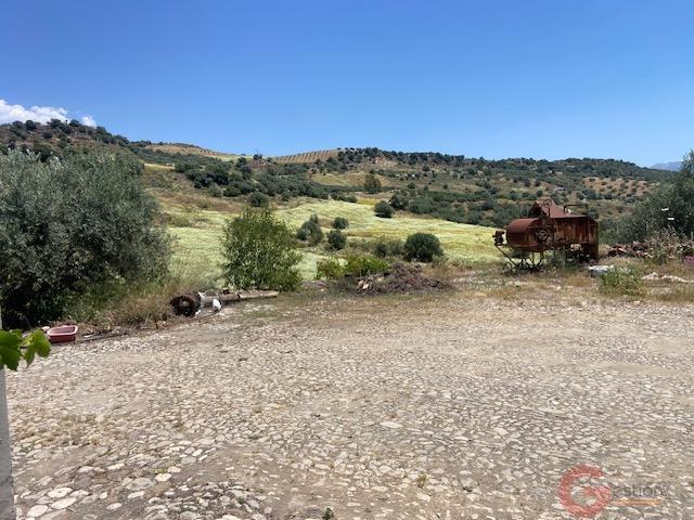 Venta de finca rústica en Comares