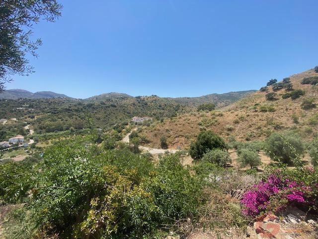 Venta de finca rústica en Comares