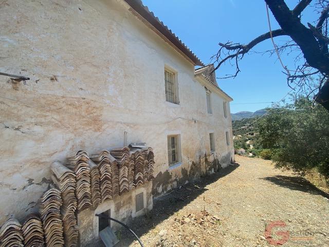 Venta de finca rústica en Comares