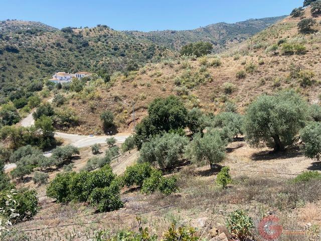 Venta de finca rústica en Comares
