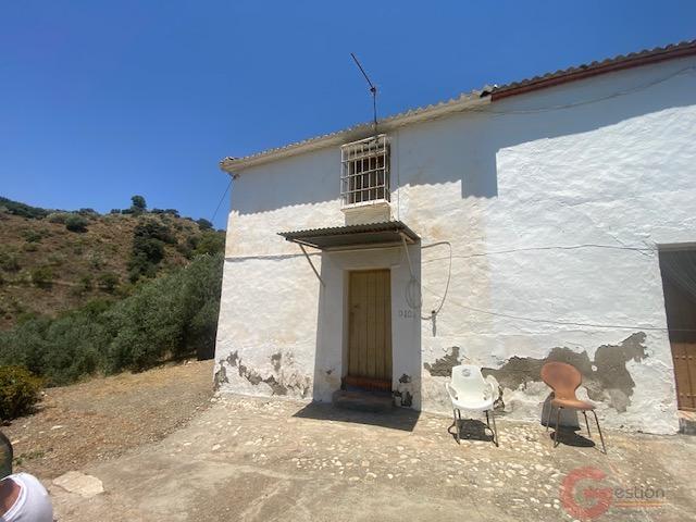 Venta de finca rústica en Comares