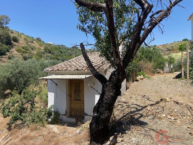 Venta de finca rústica en Comares