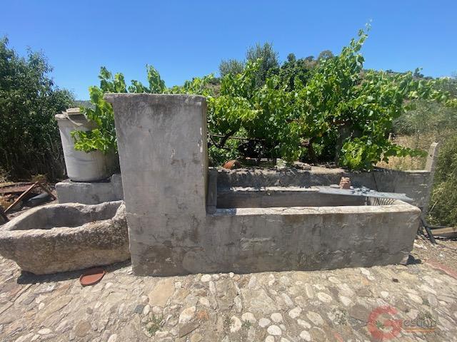 Venta de finca rústica en Comares