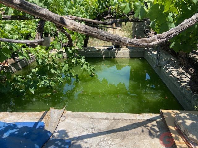 Venta de finca rústica en Comares