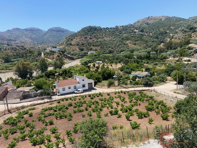 Venta de finca rústica en Comares