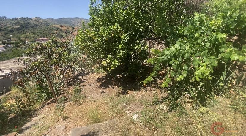 Venta de finca rústica en Comares